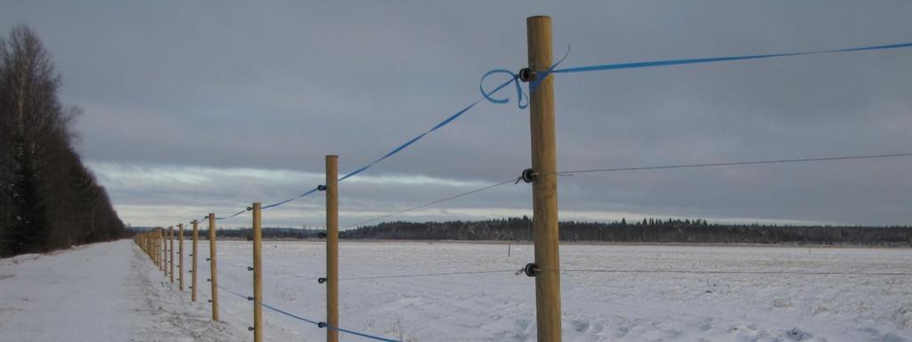 Suurpetoaita kannattaa suunnitella siten, että sen huoltaminen olisi mahdollisimman helposti toteutettavissa.