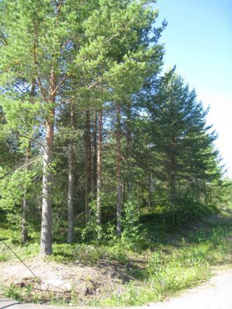 Suunnittelualueen pohjoispuolta sivuaa Rautaruukin ratapihalle ja satamaan johtava sähköistetty päärata. 3.