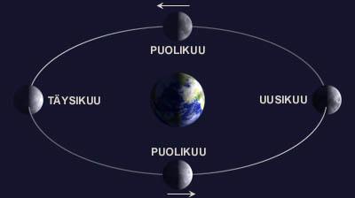 Kuun vaiheet Kiertää Maan ympäri vastapäivään kerran kuukaudessa : Siderinen kiertoaika 27.322 vuorokautta (tähtien suhteen) Synodinen kiertoaika 29.
