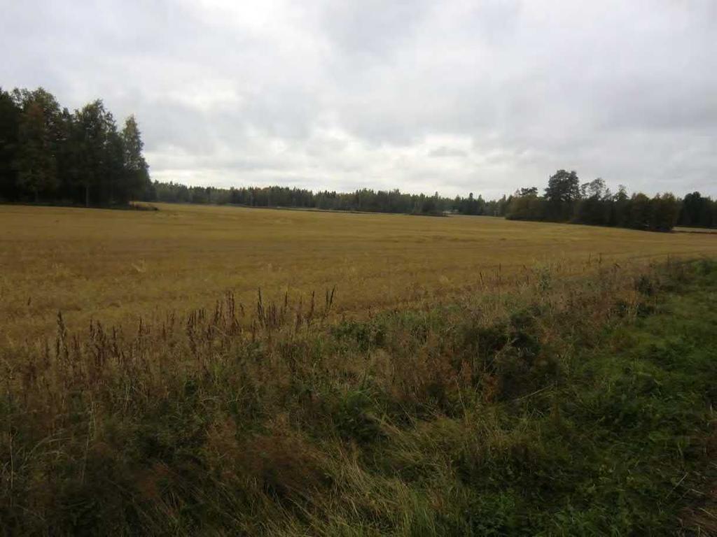 FCG SUUNNITTELU JA TEKNIIKKA OY Raportti 14 (18) 4.
