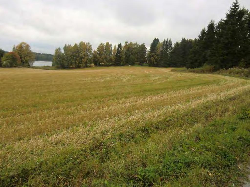 FCG SUUNNITTELU JA TEKNIIKKA OY Raportti