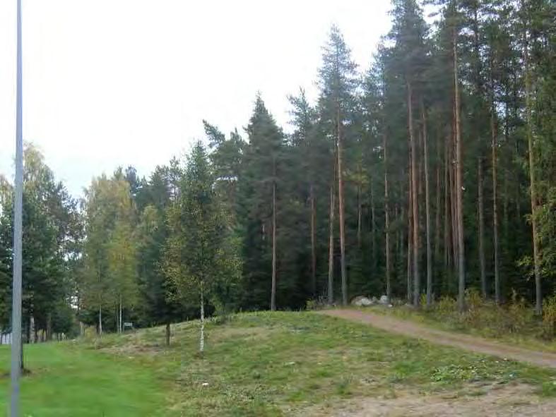 Avoimien maisematilojen yhteydessä on ensisijaisesti vältettävä massiivista rakentamista.