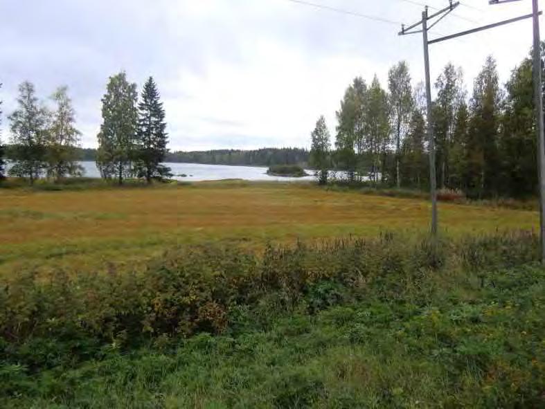 FCG SUUNNITTELU JA TEKNIIKKA OY Raportti 17 (18) Mäntän ja Vilppulan keskustaajamien välisellä alueella on olennaista säilyttää tien ja järven väliin jäävä kapea peltokaitale pääosin rakentamatta ja
