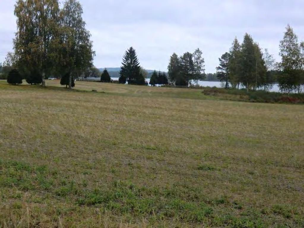 FCG SUUNNITTELU JA TEKNIIKKA OY Raportti 5 (18) Kasvillisuus Mänttä-Vilppula kuuluu kasvimaantieteellisessä jaossa eteläboreaaliseen Järvi-Suomen vyöhykkeeseen, jonka tyypillinen metsätyyppi on
