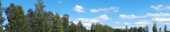 SF-Caravan Napapiiri ry VALO- JUHLA- TREFFIT 16. - 18.8.2019 Ryynäsenniemessä Tervetuloa! SF Caravan Lohenpyrstö ROSVO- PAISTI- TREFFIT 6.-8.9.2019 Tervetuloa!