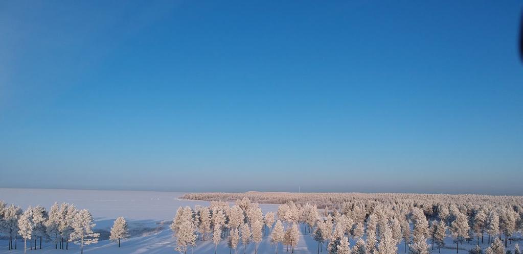 8 SF-C YT-KASI 2019 SF-Caravan Oulun seutu ry SF-C OULUN SEUTU ry (018) www.sfc-oulu.com PUHEENJOHTAJAN PULINAT PAKKASPÄIVIEN LOMASSA Niin on vuosi jälleen vaihtunut.
