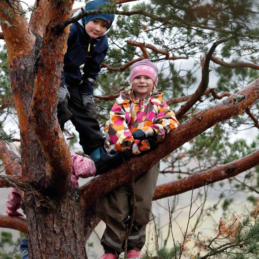 Varhaiskasvatuksen toimintakulttuuri muutoksessa -ohjelman perustana ovat varhaiskasvatuslaki ja muut