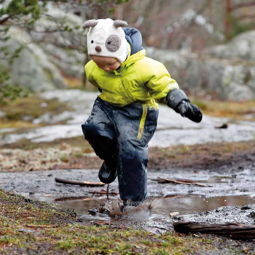 Toimintakulttuuri muuttuu askel kerrallaan 5 -ohjelman tavoitteena on, että
