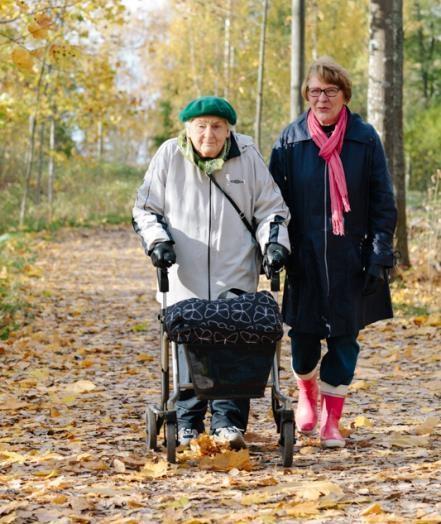 Tilan maksettavaksi jää vain arvonlisäveron osuus neuvonnan kustannuksista. ELÄINMÄÄRÄILMOITUS TEHTÄVÄ TARVITTAESSA 15.2.
