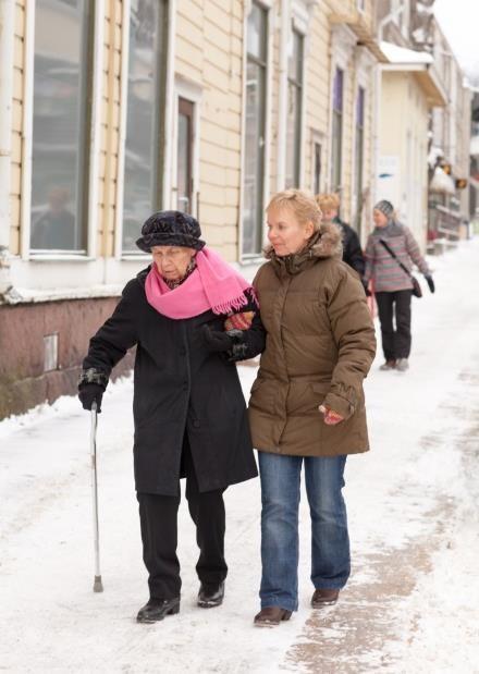 eläintiheyslaskennassa.
