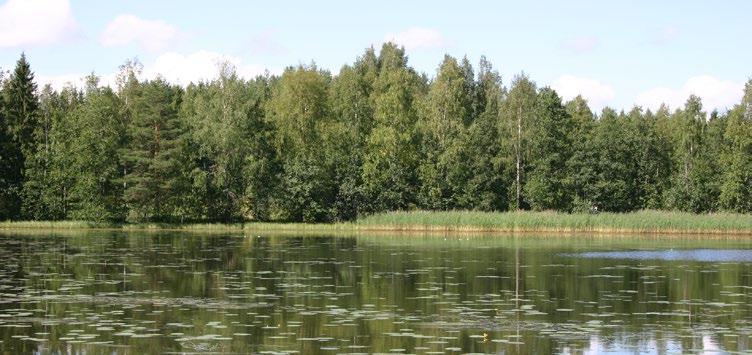 Tietoa ja välineitä metsänhoitoon Huomio luonnonhoitoon ja monimuotoisuuteen Metsien kestävä, vastuullinen ja aktiivinen hyödyntäminen ovat yhteiskunnalle tärkeitä tavoitteita.