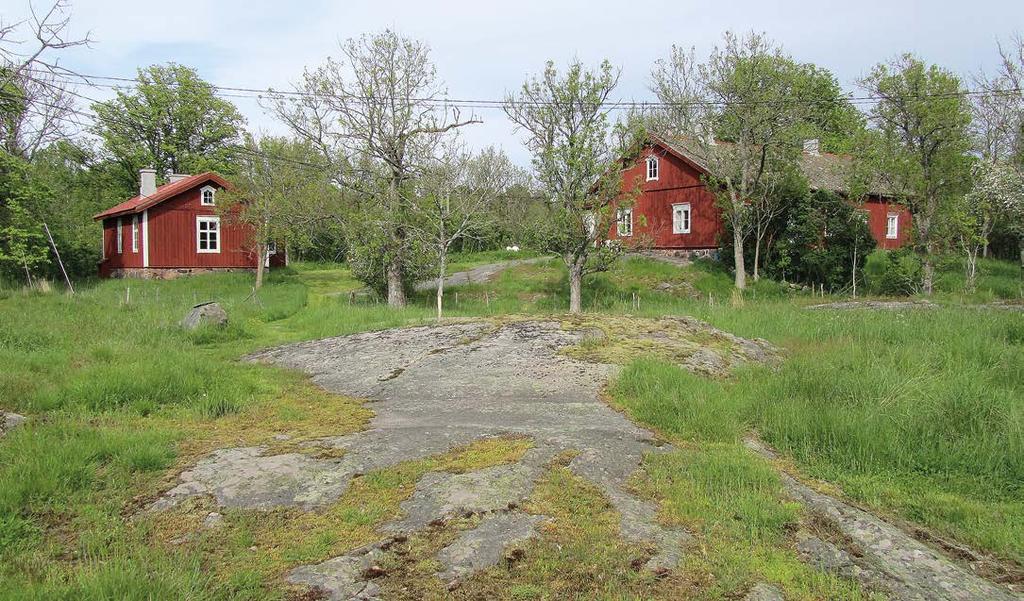 Danskog kesällä 1932. jaloista lehtipuista puuttuu vain lehmus (Tilia cordata).