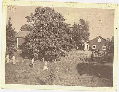 Danskog gårdin pihapiiri on aidattu, sillä sen alueella on laidunnettu parin viimeisen vuosikymmenen aikana lähes vuosittain 10 20 ja