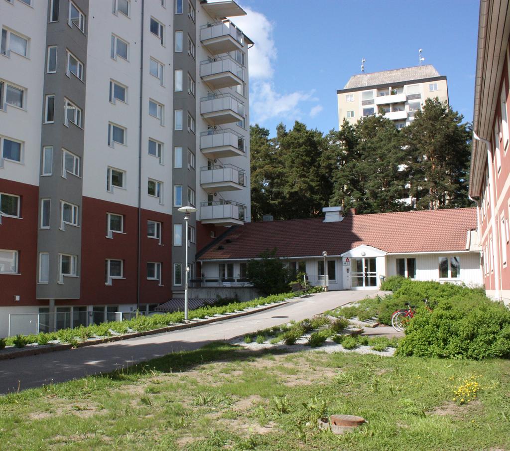 Björkbackenin