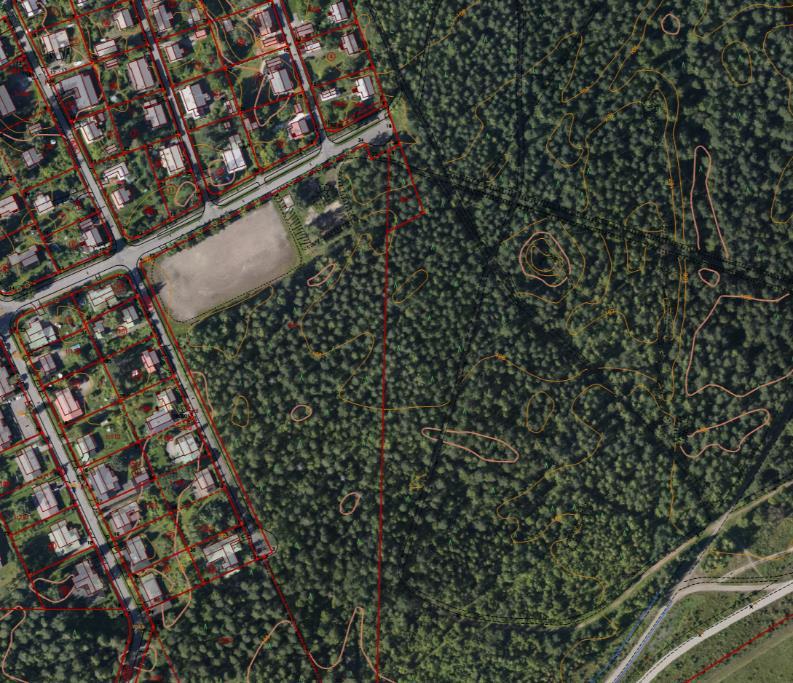 lehtipuustoa, kuten koivua, vaahteraa ja pihlajaa.