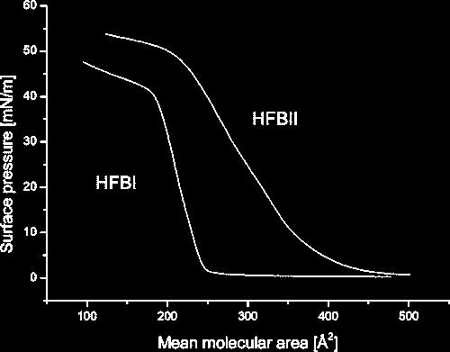 Monolayer of hydrophobin (HFB) on