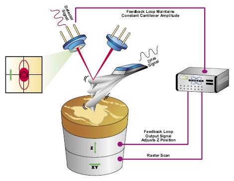 Tapping mode Feedback Loop Maintains Constant Cantilever Amplitude Värähtelevä kärki Vain hyvin lyhyt kontakti näytteen kanssa Youtube video tapping mode