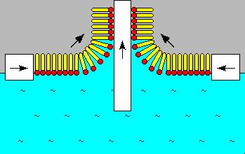 / Langmuir Schaefer