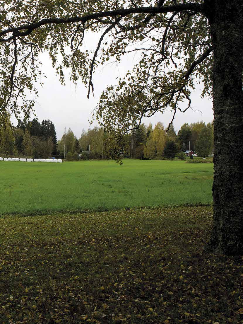 Arja-Leena Paavola Maisema Sysmän Ihananiemessä on tyypillistä itähämäläistä, hieman kumpuilevaa maastoa. Päijänteestä aukeavan Majutveden lahden ympäristö kasvaa paikoitellen sekametsää.