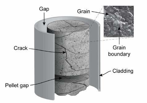 52 points for crack growth and fracturing of the ceramic matrix. The rim structure usually forms in fuel that has experienced burn-up greater than 45 MWd/kgU.