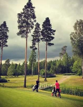 OSAKASETU, PELAAMISVAIHTO Osakkaiden pelaamisvaihtoon liittyvää yhteistyötä jatketaan Kytäjä Golfin, Pickala Golfin, St.