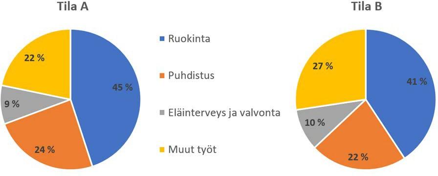 Työaikamittaukset Molemmilla tiloilla eniten työaikaa kului päivittäisiin rutiinitöihin, joista eniten työaikaa kului ruokintaan.