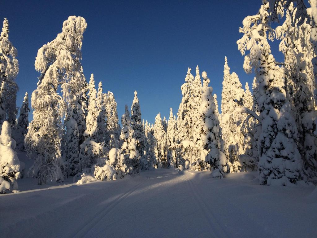 Kiitos!