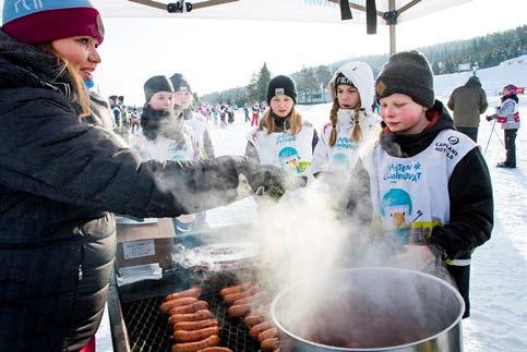 Teltan seinäkankaat ovat erikseen isossa kassissa. Kankaita voi kiinnitellä tarpeen mukaan yhden tai useamman.