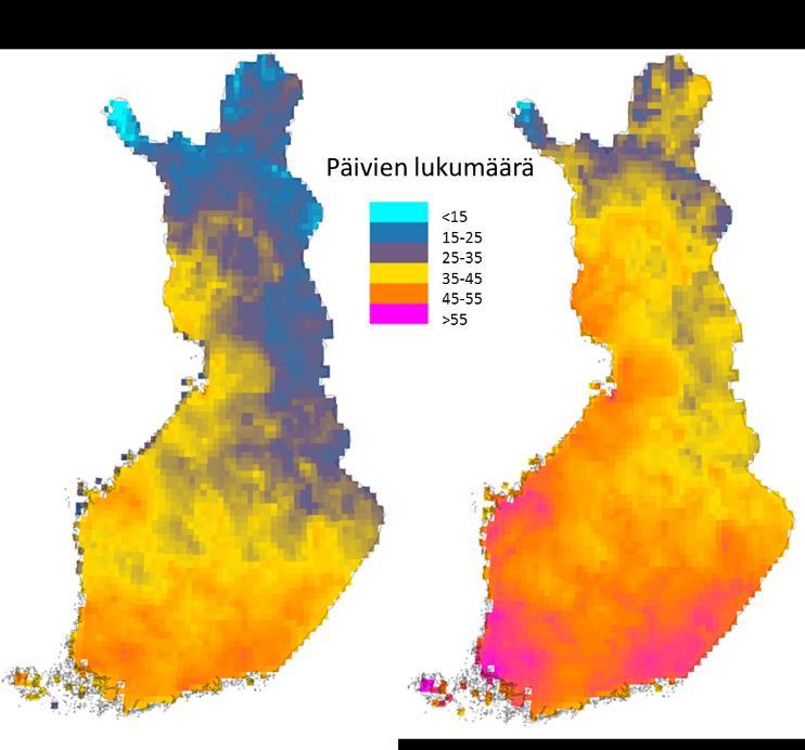 Kuva 4 Sellaisten päivien lukumäärä touko-elokuussa kahden 30-vuotisjakson aikana, jolloin metsäpaloindeksiä kuvaava DMC on välillä 30 90 (= melko kuiva ) RCP4.5- ilmastoskenaarion tapauksessa.