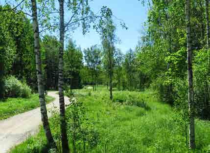 HAKUNILA 7.9 Itä-Hakkilan puisto Tunnus B4 Pinta-ala B1: 11 012 m 2 Kaavamerkintä AK: VP(P) Luonto- ja maisema-arvot Avoin ja puoliavoin maisematila, viehättävä maisemakokonaisuus.