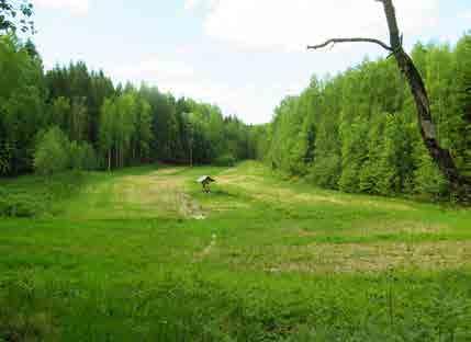 HAKUNILA 7.23 Nybyggetinoja Tunnus B1 Pinta-ala B1: 8 636 m 2 Kaavamerkintä YK: VR Luonto- ja maisema-arvot Avoin maisematila metsäympäristössä. Alueella on riistanhoidollista merkitystä.