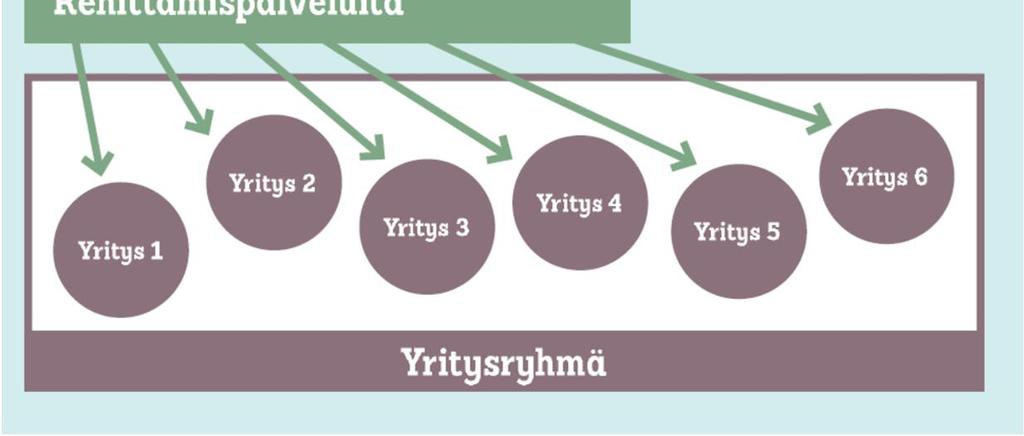 Pohjoismaista Suomen yrittäjäopiston kannatus Oy, 39 869 DigiHäme TAMK, rahoitus Joutsenten reitti