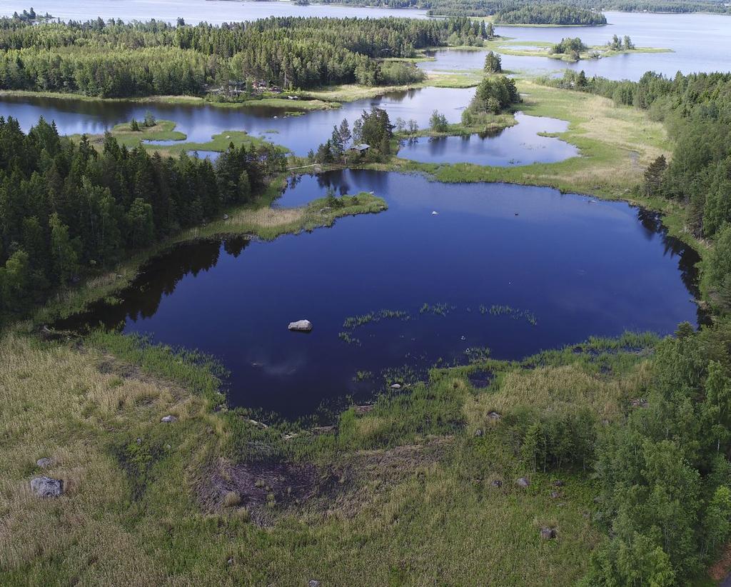 Itämeri voi sisältyä tyyppiin kapeat murtovesilahdet (1650). Enintään kymmenen hehtaarin suuruiset fladat ovat vesilain mukaan säilytettäviä.