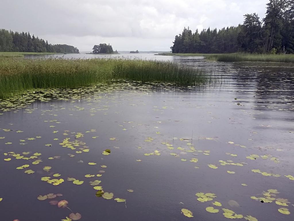 Itämeri edemmäs kohti merta. Ilmiö muistuttaa Pohjanlahden maankohoamista. Enimmillään jokisuistot voivat levittäytyä merelle kymmeniä metrejä vuodessa.