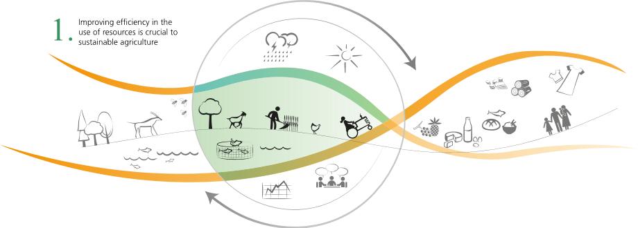 Sustainable food and agriculture (FAO)