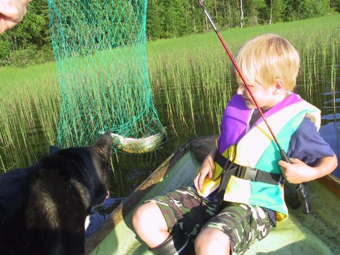 Metsätalouden vesiensuojelurakenteet