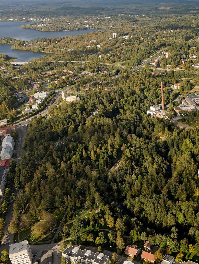 Tourujoen kunnostussuunnittelu Esiselvitys 2011 Tourujoen kehittämissuunnitelma 2015