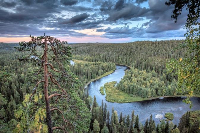 Suojelualueiden topografia pienilmastorefugiot Mari Limnell, Metsähallitus