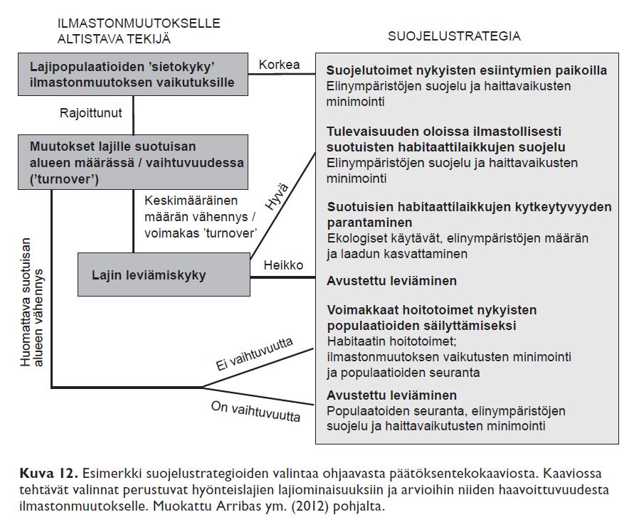 Lajitason hoitotoimien