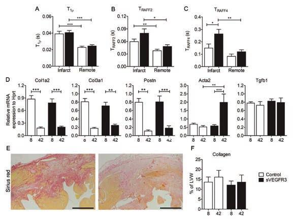 50 a significant increase in relaxation times in svegfr3 mice compared to controls (Figure 19C).