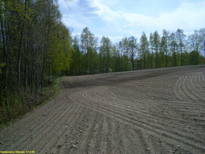 6 Kärjen itärantaa kärkialueen asuinpaikan osan