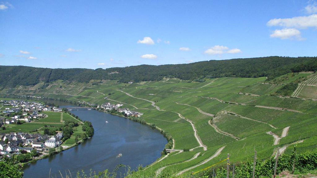 Mosel