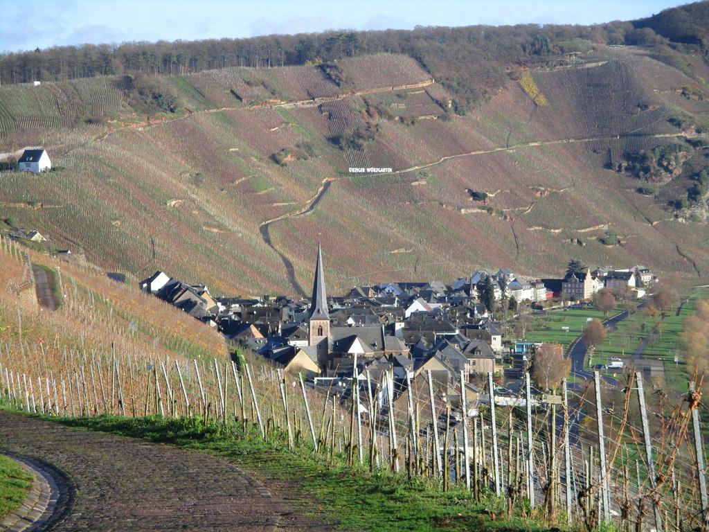 Mosel