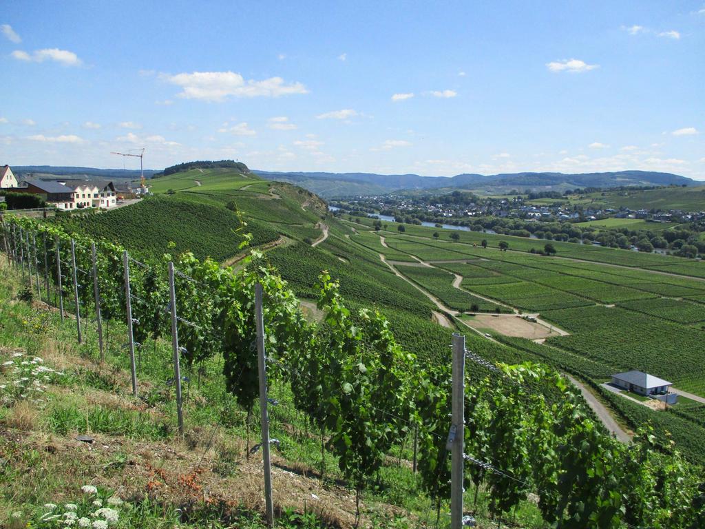 Mosel