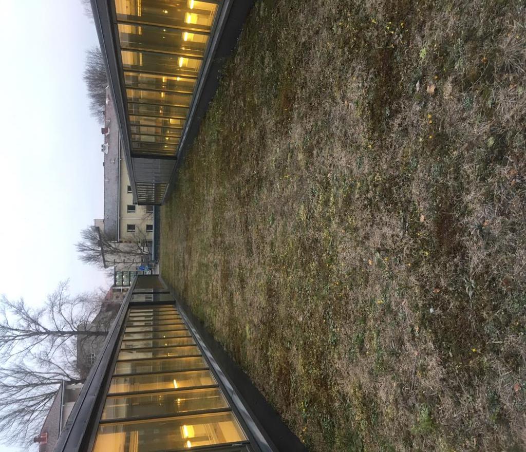 viherkatto on loppusyksystä