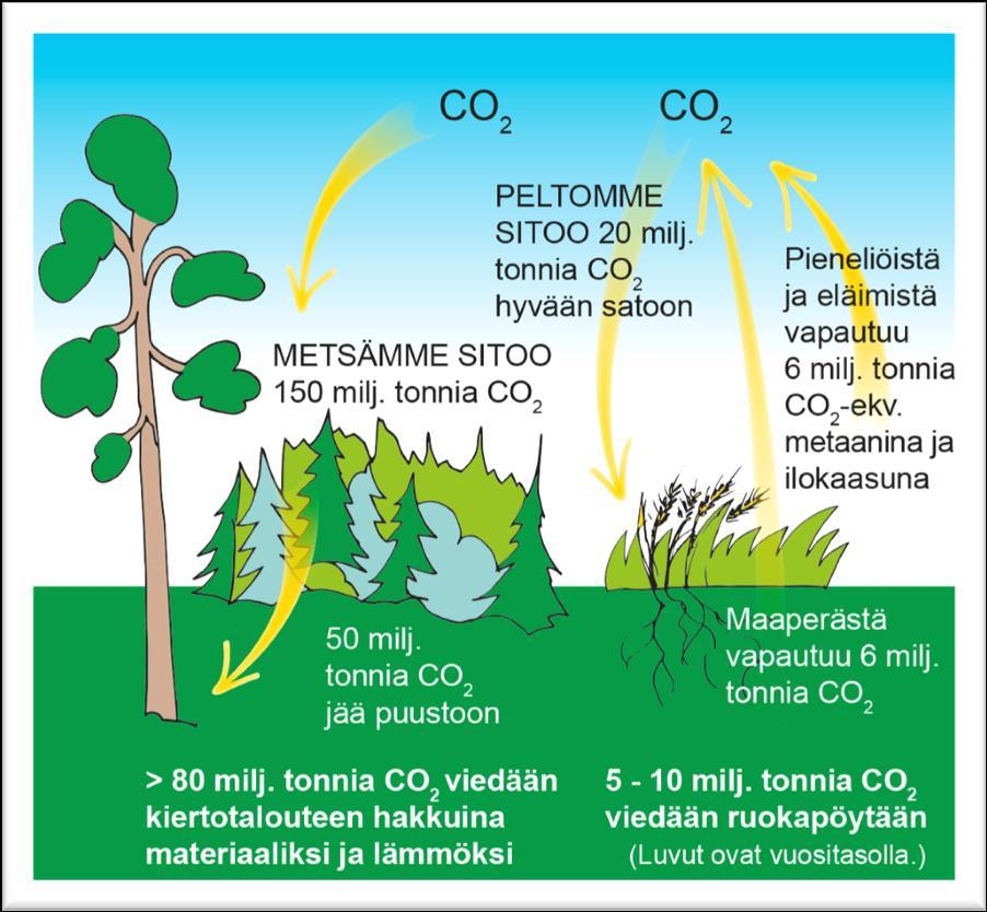 Ei ole kaikki mukana Missä meidän hiilidioksidi? Prof.