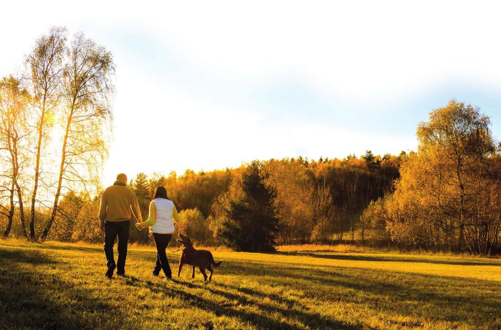 Vectibix (panitumumabi) levinneessä