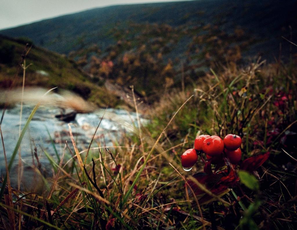 Outdoors Finland ja tulevaisuus (Kesä)aktiviteetit on yksi Visit Finlandin läpileikkaavia teemoja ja sisältöjä