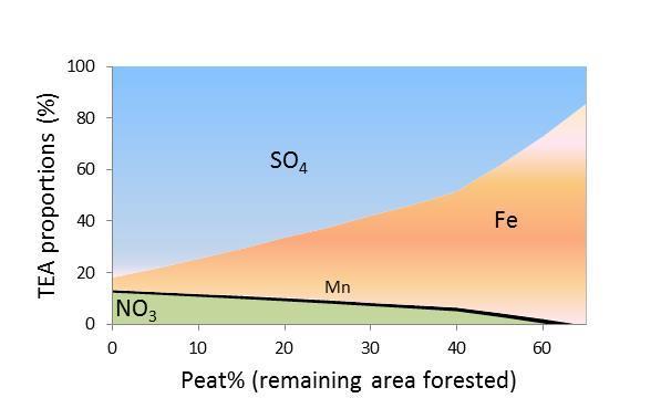 Land-cover controls the export of terminal electron