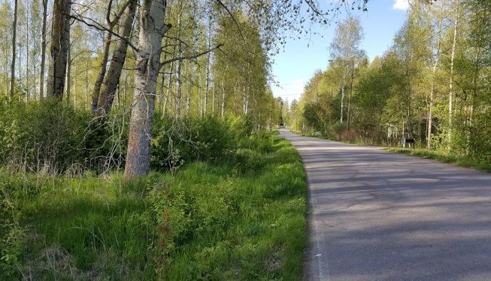 Alueella ei todettu rauhoitettuja tai uhanalaisia kasvilajeja tai uhanalaisia lintulajeja, jotka olisi erityisesti huomioitava maankäytön suunnittelussa.